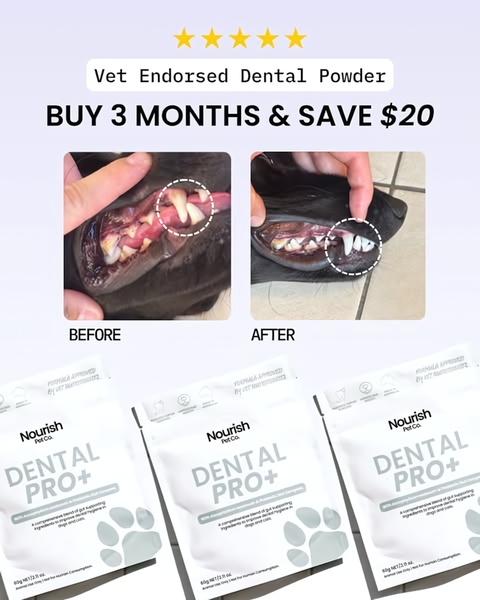 A 4:5 aspect ratio image featuring a side-by-side dental comparison of a dog's teeth before and after using a branded dental powder product.